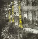 Dixons Hollow. On the Rise 03
